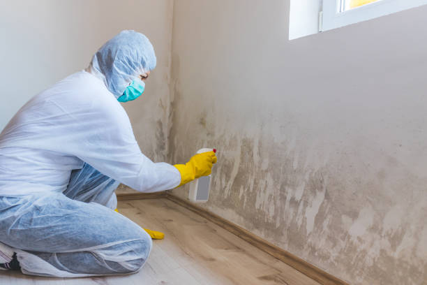 Mold Remediation specialist working in Everett